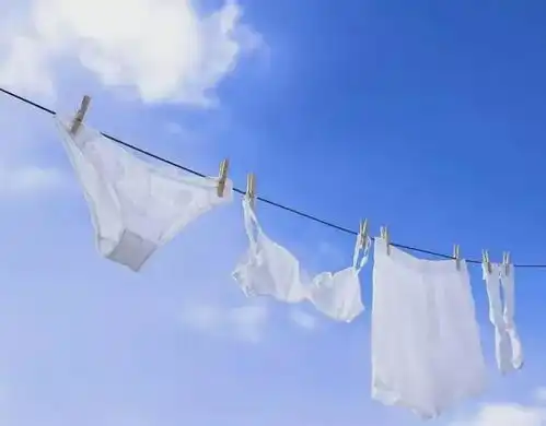  一个被臭袜子搞死的宰相一般人的袜子,都比内裤要干净