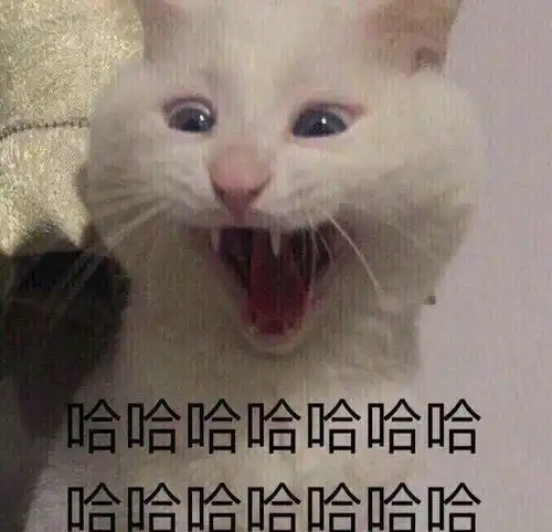  杂乱无章