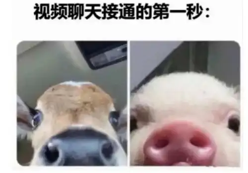 搞笑神评人间大真实事件  搞笑神评人间大真实事件