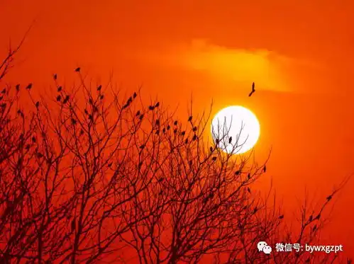  于占友七律二十首新韵