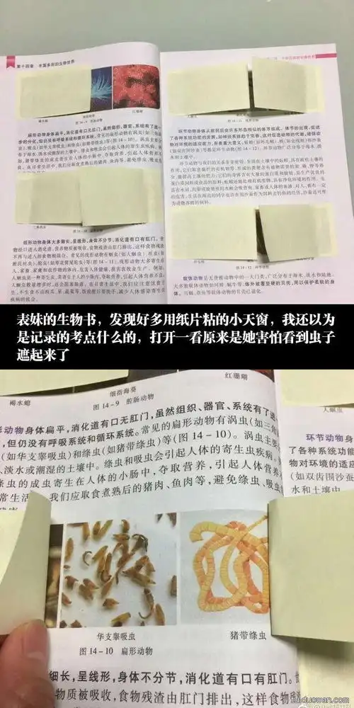  妹子的膝盖被蚊子钉得不轻啊