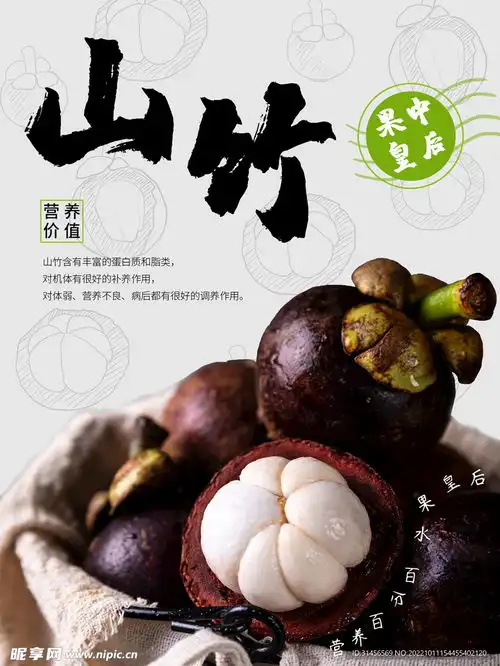  山竹设计图
