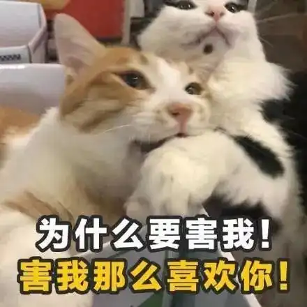 qq撩妹表情包全套国货