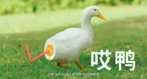  五芳斋新广告太好笑了创意团队的放飞自我