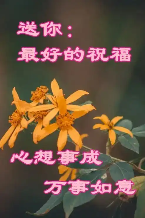  独一无二的早上好图片最美早上好祝福图片