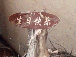  妹子好强悍