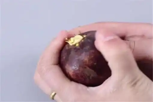  山竹怎么剥皮图解山竹皮太硬怎么剥开