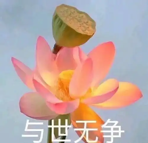  无聊的原因还有就是过度自我阉割我不知道怎么讲