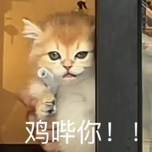  请你滚出我的世界丨第837期喵表情包