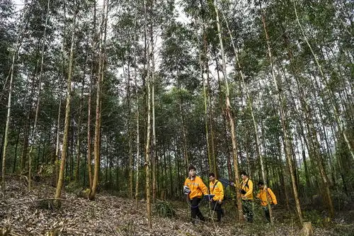  铁路线边的捕风者