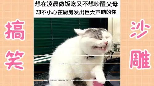 超沙雕的搞笑图片第十八期