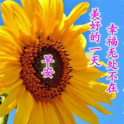  2023最新早晨好早上好漂亮问候祝福图片头像