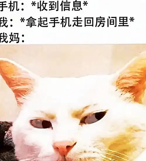  无标题