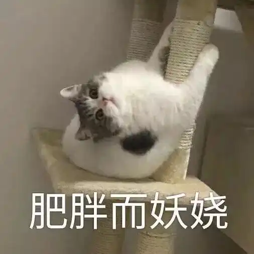  最新热门可爱搞笑表情包图片新的一天,冲鸭,怪不好意思的