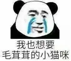  表情包我还是不找你了,免得你又笑话我离不开你,说我酸了