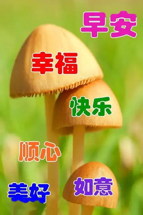  中老年表情包早上好,健康第一,快乐第一