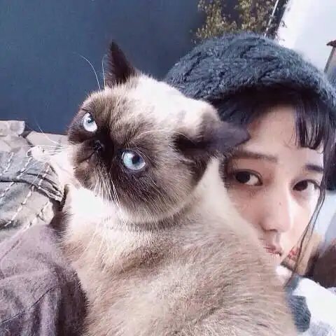  女生大图头像