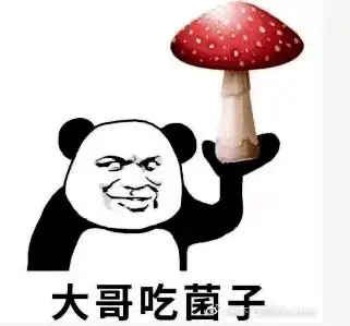  菌王现身云南这里惊现五朵巨型牛肝菌最大一朵重2.8公斤这些巨无霸野生菌,你都见过吗