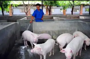 1元大米酿出9毛米酒的亏本生意,农村酿酒师也能赚大钱  1元大米酿出9毛米酒的亏本生意,农村酿酒师也能赚大钱