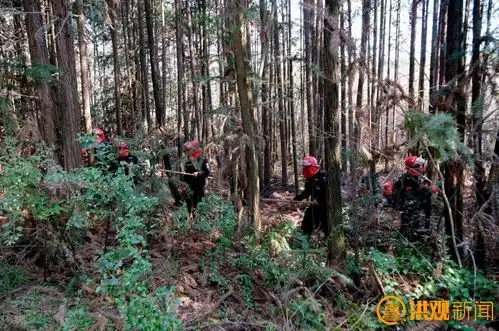  清明节将至南昌市发布森林防火重要通知凤凰网江西凤凰网