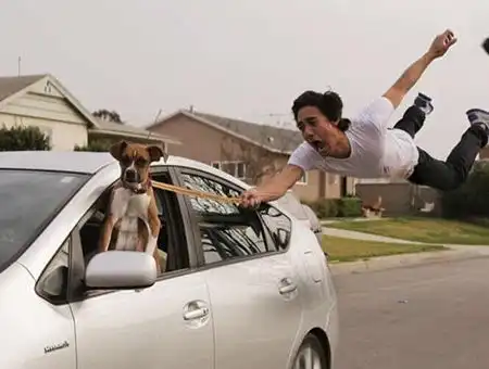 搞笑gif图片笑话段子早上起床,我对老公撒娇我要吃早饭  搞笑gif图片笑话段子早上起床,我对老公撒娇我要吃早饭