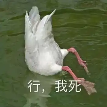  爆笑你们电视编剧,都他喵是喜剧之王吧