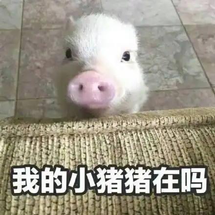  高中生物记不住过来人的经验总结背一次用三年,速看