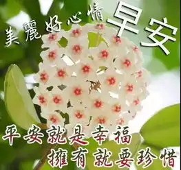  朋友圈清晨问候大家早上好阳光暖心句子最漂亮早上好美图表情
