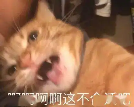  不堪入目一女子在南宁地铁当众进行淫秽直播,挨抓了