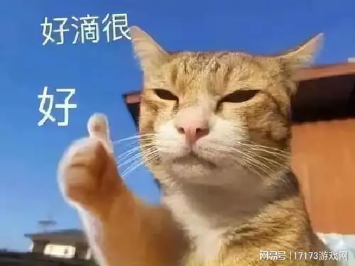  24年哪些游戏已停运腾讯都救不过来,复活一年半后又凉了