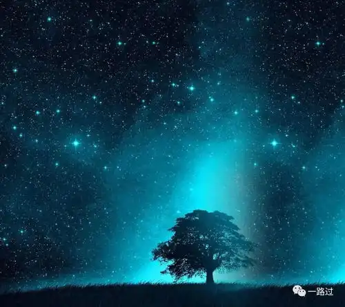  放空