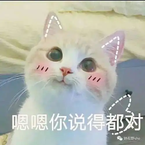  假如你穿越成为曹丹姝,你将如何改写你的命运