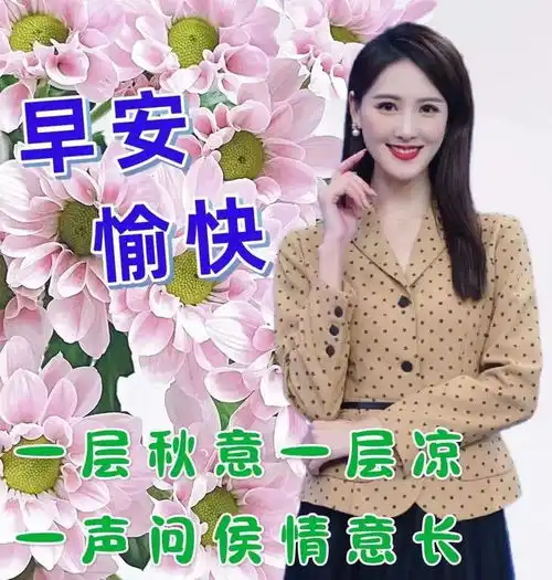  2024年8月25日周日精选早安祝福图片,雨过菊花香,又感秋风凉早安祝福美图分享给您网易订阅