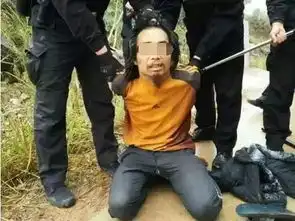 拿板砖砸人搞笑图片