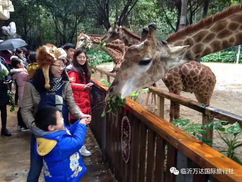  在纠正孩子饮食的坏习惯时,只要孩子有了进步,就应该及时表扬