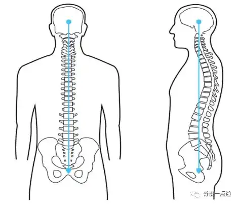 减少腰突复发,这些姿势你对了吗  减少腰突复发,这些姿势你对了吗