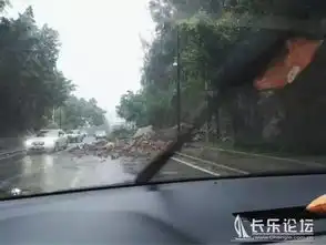  鲇鱼狂虐大长乐,台风过后一片狼藉组图