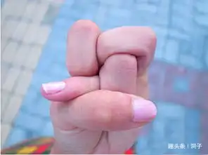 动物动态图片搞笑最萌