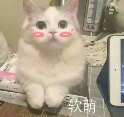  开心一刻段子从小爸爸就告诉我说,追女孩子要胆大心细脸皮厚
