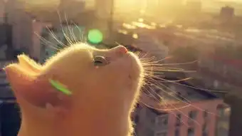  可怕的自我失控,为什么这世界极端的人越来越多