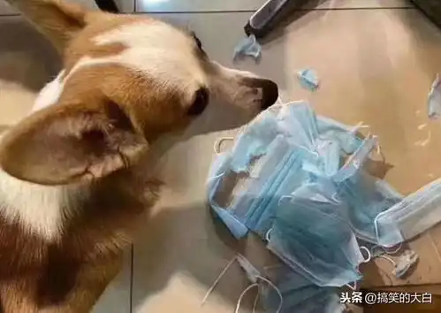  爆笑的gif图片这遛的是什么玩意,是吃太饱走不动道了