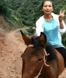 搞笑gif趣图大晚上的,老婆说有急事出去一下  搞笑gif趣图大晚上的,老婆说有急事出去一下
