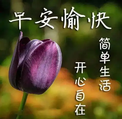2021早上好短信祝福语录最新版1月微信漂亮早上好问候语祝福表情图片  2021早上好短信祝福语录最新版1月微信漂亮早上好问候语祝福表情图片