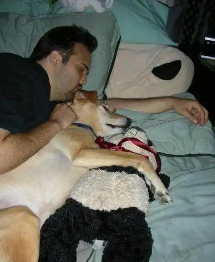  幽默笑话够亮的,前面的保安更亮