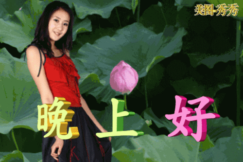  亲爱的晚上好动态图片,早点休息晚安问候语