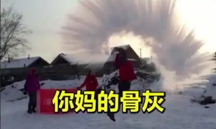  把你骨灰都给你扬了表情包