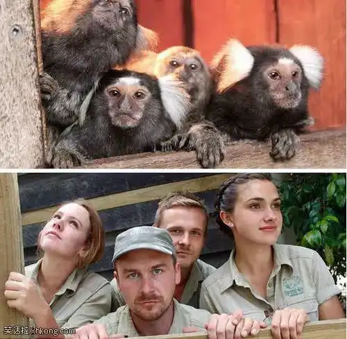 搞笑gif被这些姑娘美哭了,忍不住想找老婆了  搞笑gif被这些姑娘美哭了,忍不住想找老婆了