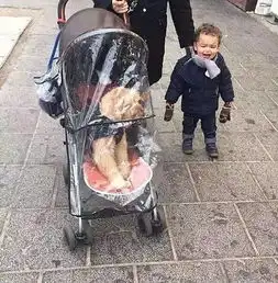  美女,傍边的钱包是你的吗