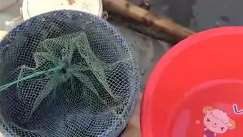  搞笑圈小球的个人频道
