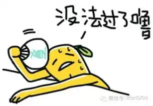  吉安风雅汽车